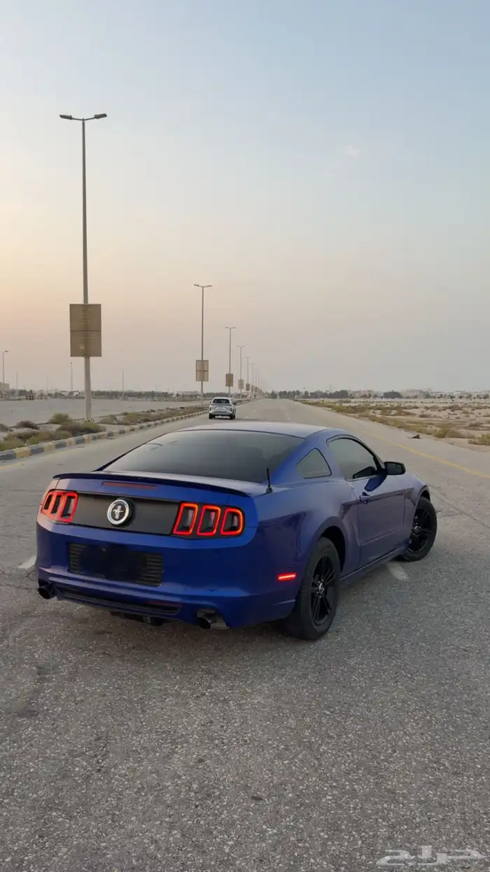 موستنج2014 7