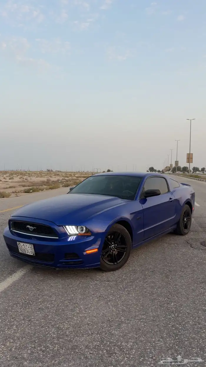 موستنج2014 15