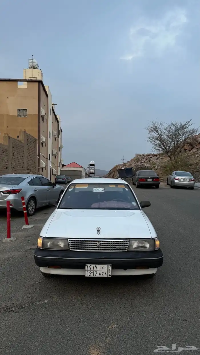 ل اهل الصنف والنظيف 5