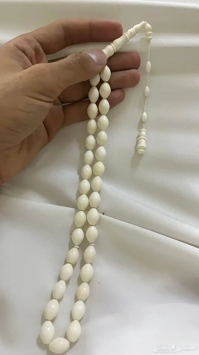 مسباحين عضم ومسباح كوك 2