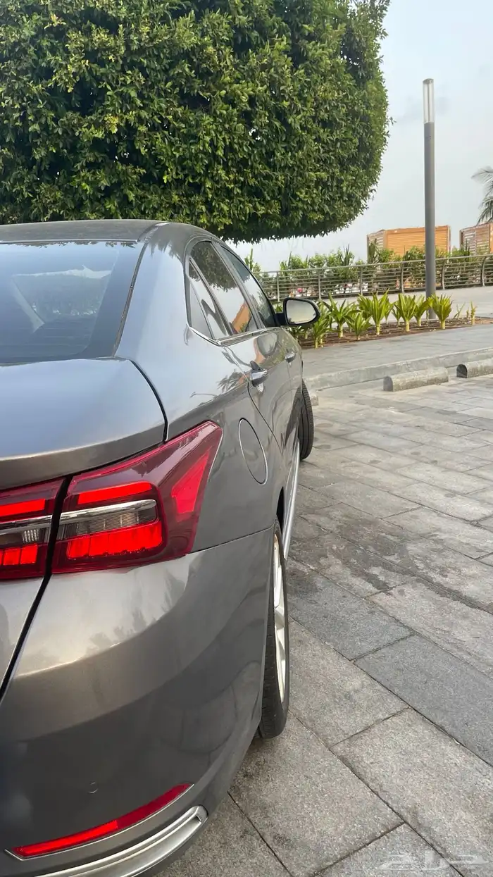 شيري اريزو 2023 1