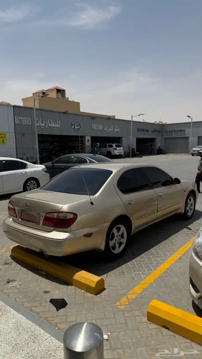 للبيع مكسيما 3