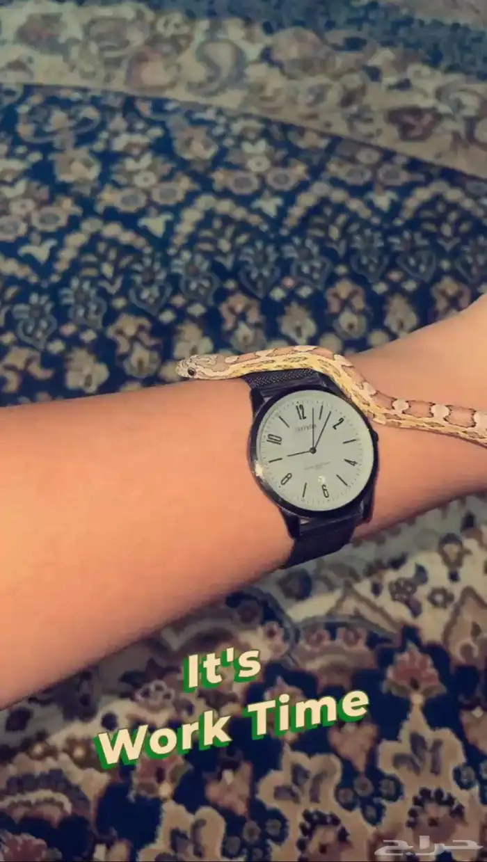 زواحف 4