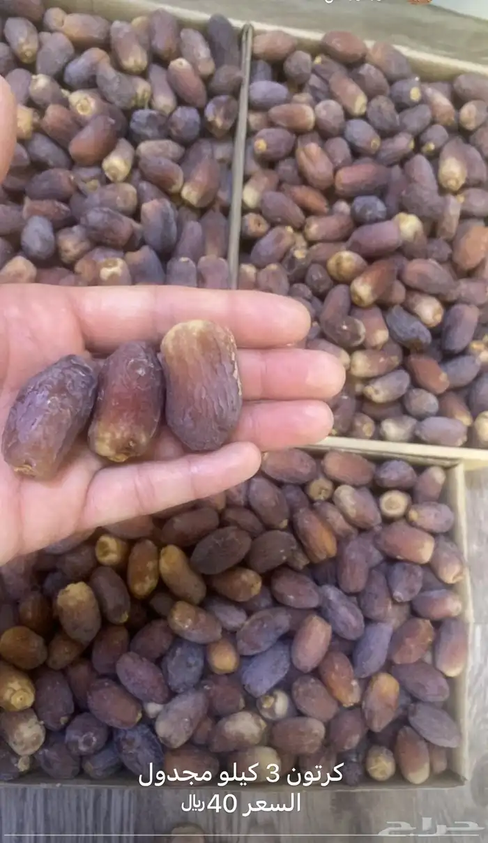 وادي الدواسر 0