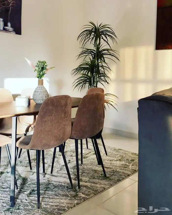 شاليه جاتروفا الرمال 1