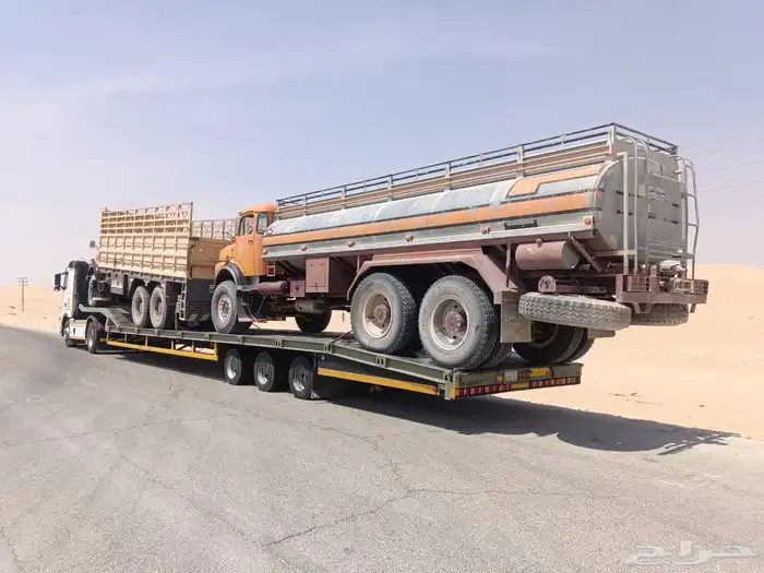 لوبد وسطحات الاحساء الهفوف 2