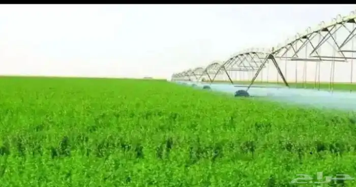 مطلوب رشاش 0