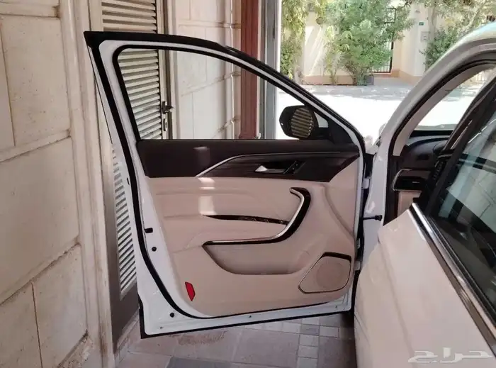 سيارة فاو بيستون T77 22