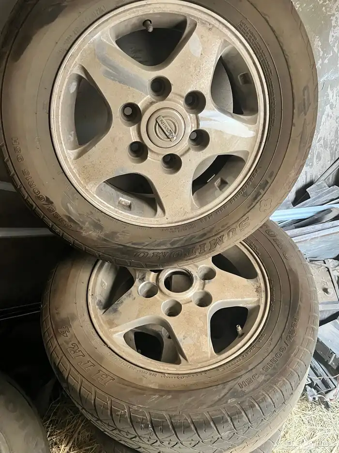 جنوط نجمه 0