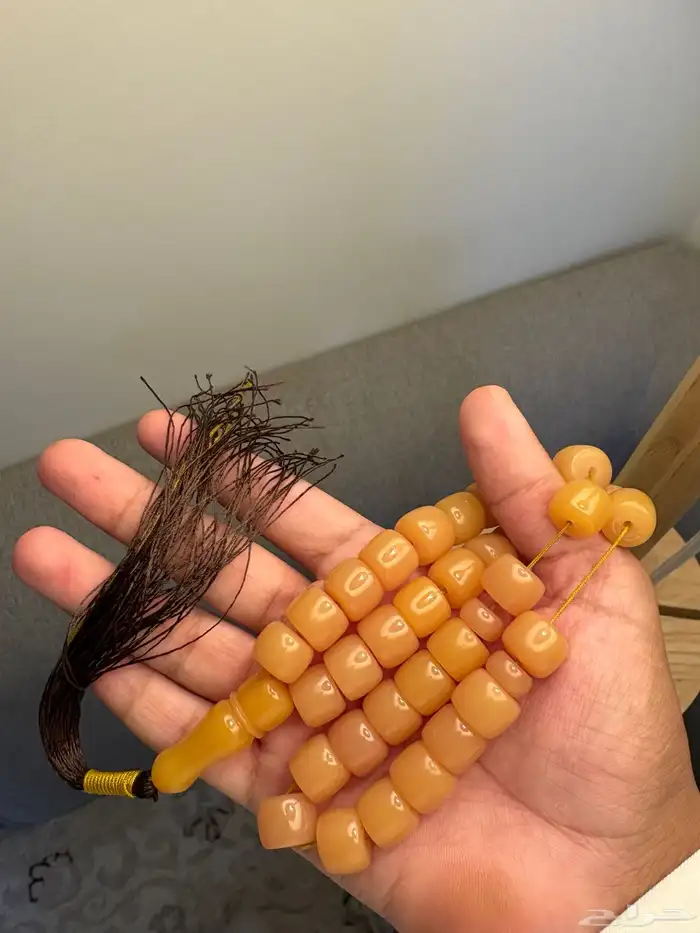 سباح 12