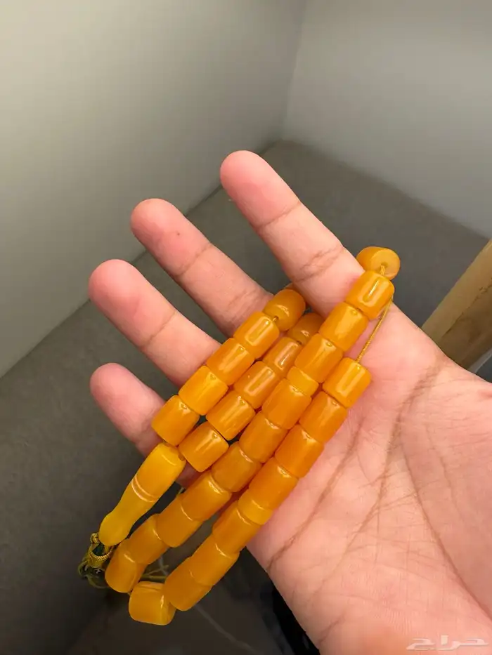 سباح 11