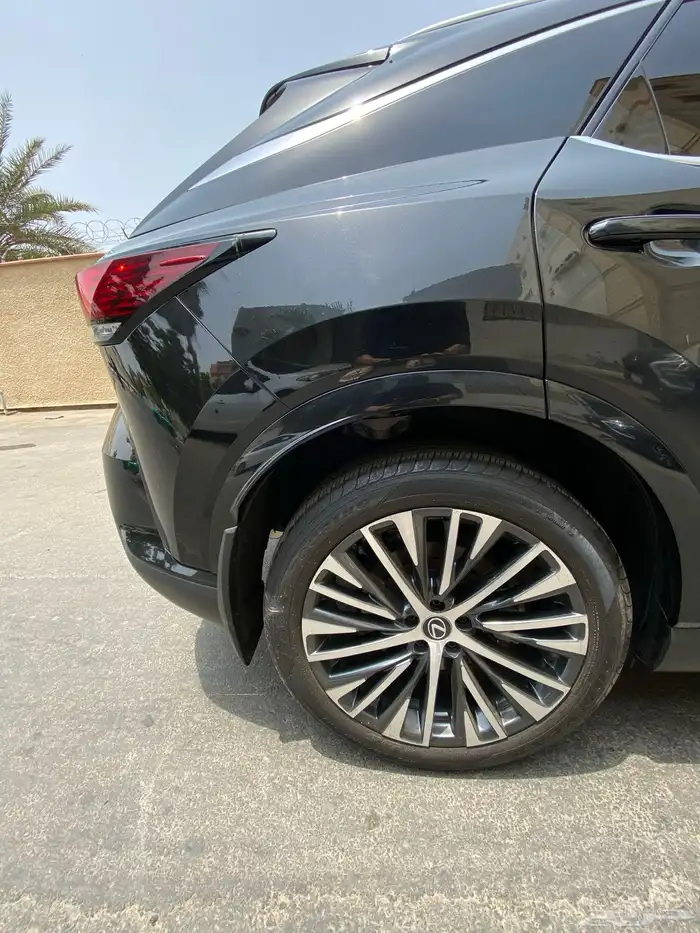 2023 Luxes RX350 Luxury Package 13