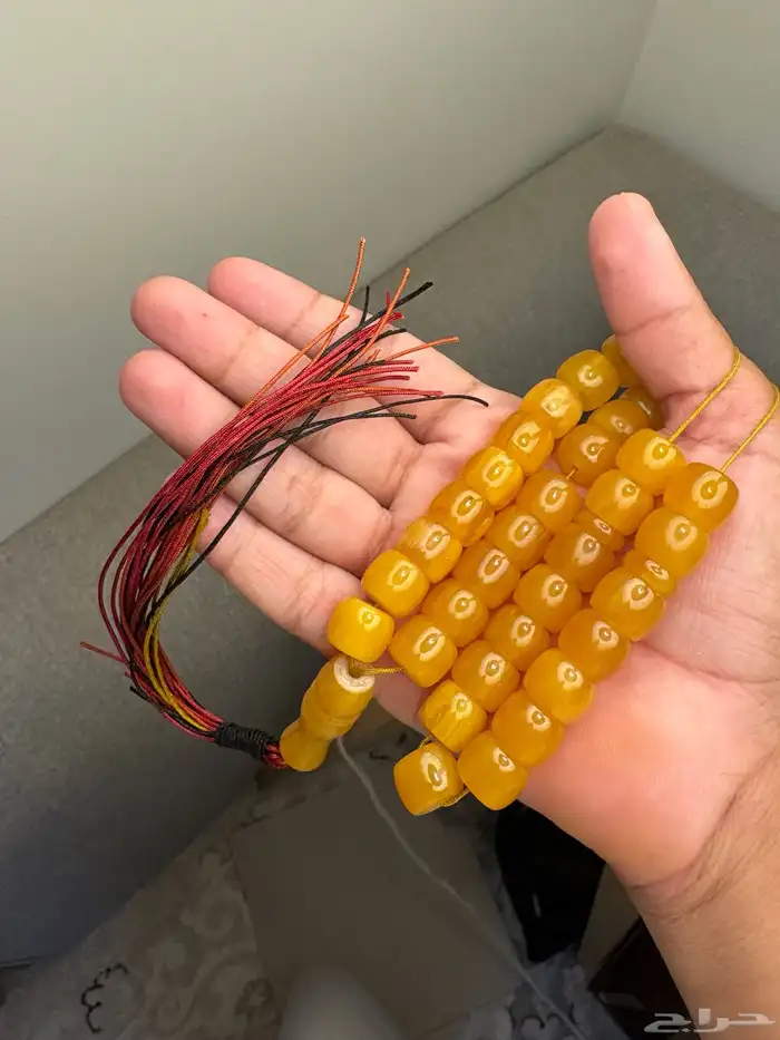سباح 10