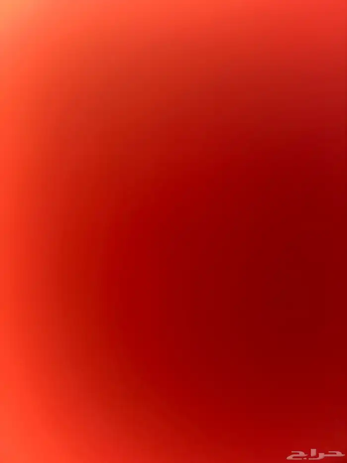 حصان إنجليزي للبيع أوراق اللي يبغى مقاطع يجي خاص 0