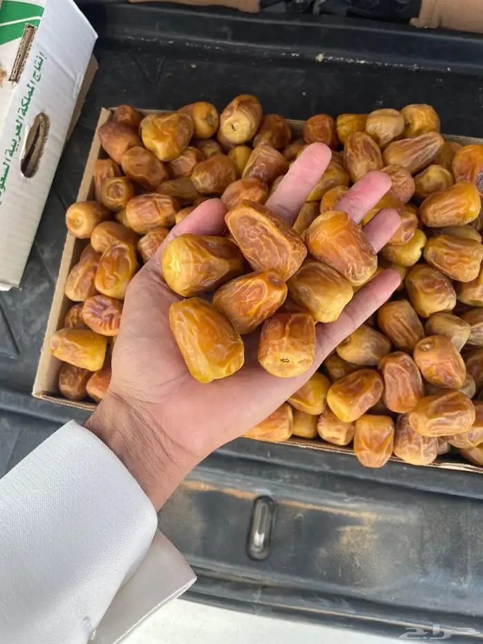 تمر سكري مفتل فاخر يا أهل الفاخر 0
