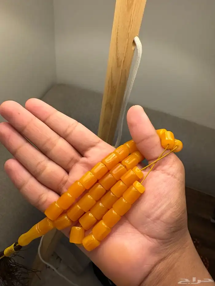 سباح 1