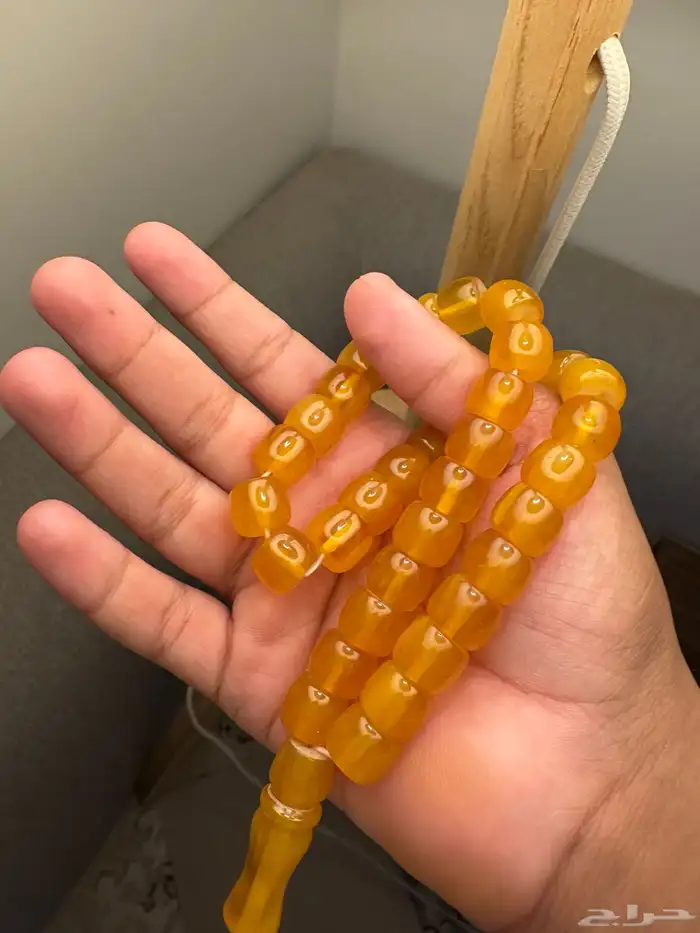 سباح 6