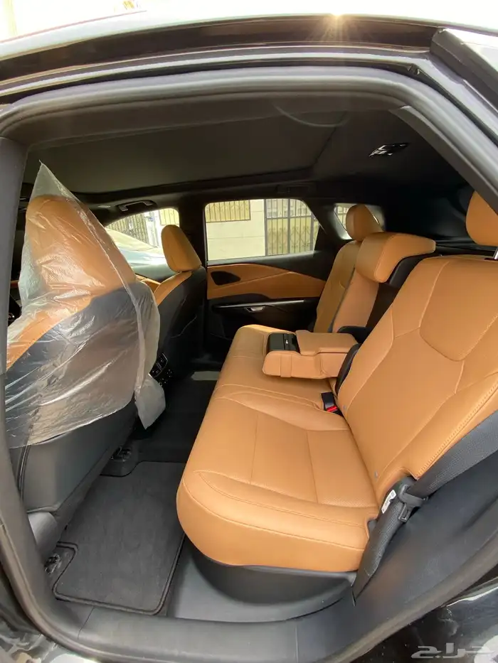 2023 Luxes RX350 Luxury Package 10