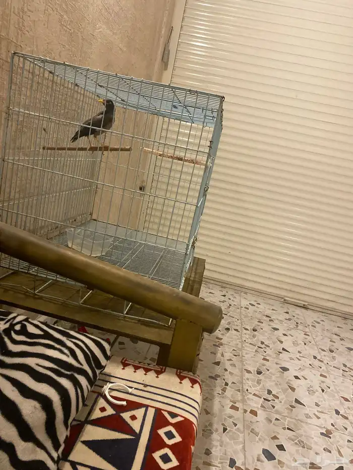 قفص كبير ومينا 0