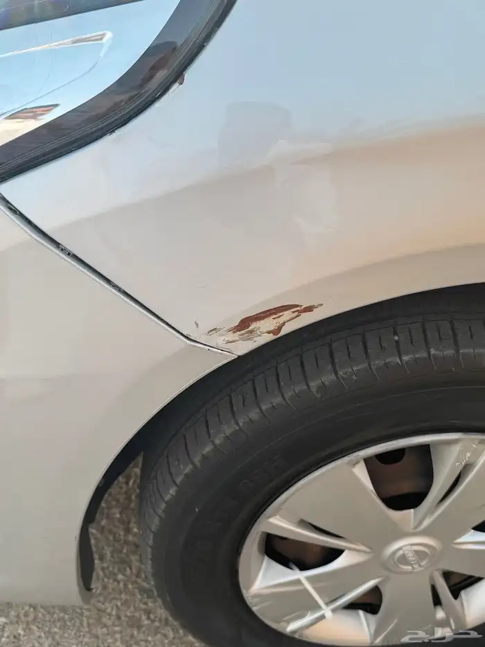 للبيع صني 2019 4
