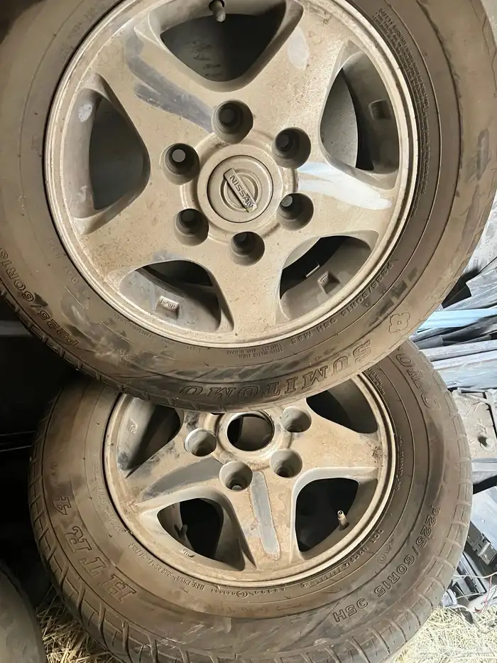 جنوط نجمه 1