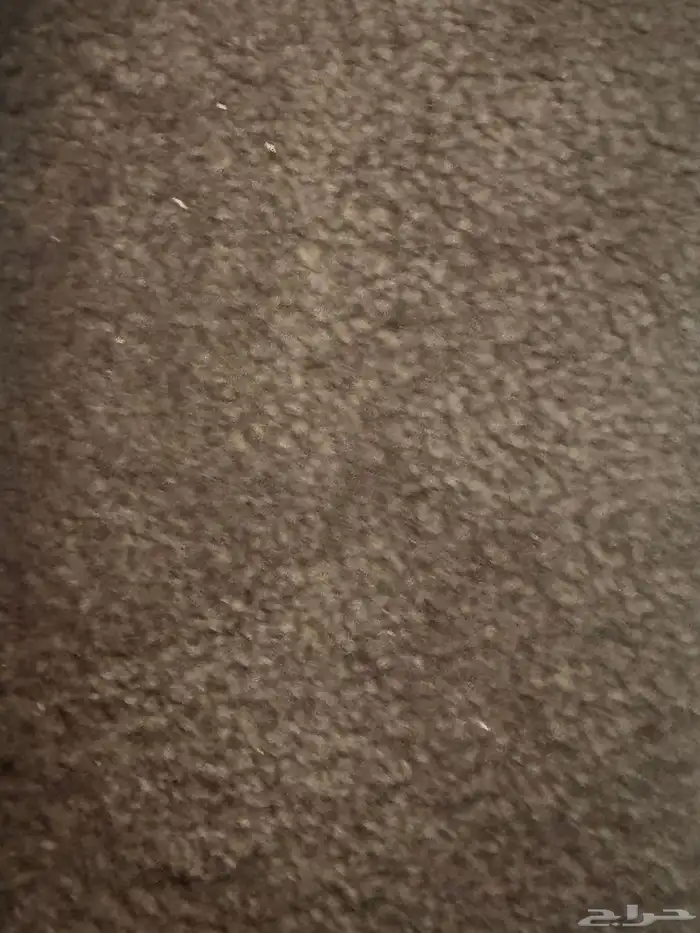 سجاد موكيت بدون مقابل 1