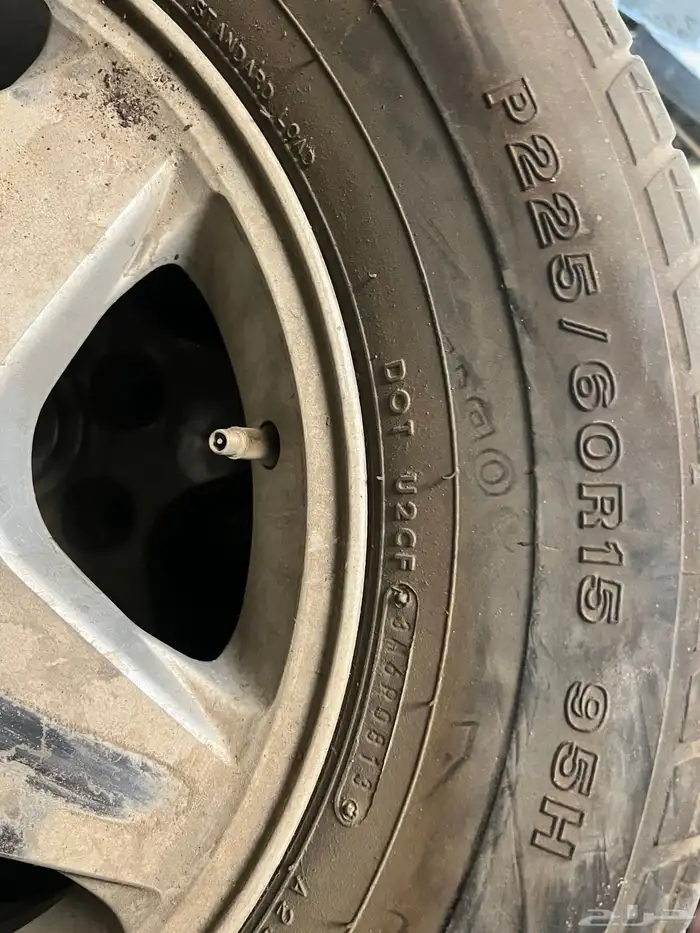 جنوط نجمه 2
