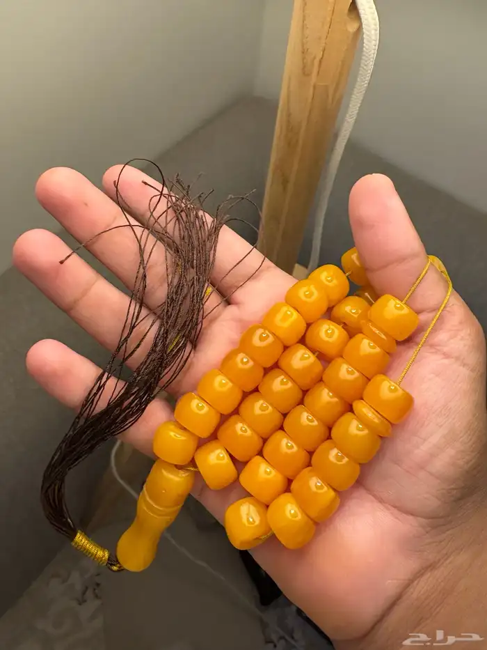 سباح 3