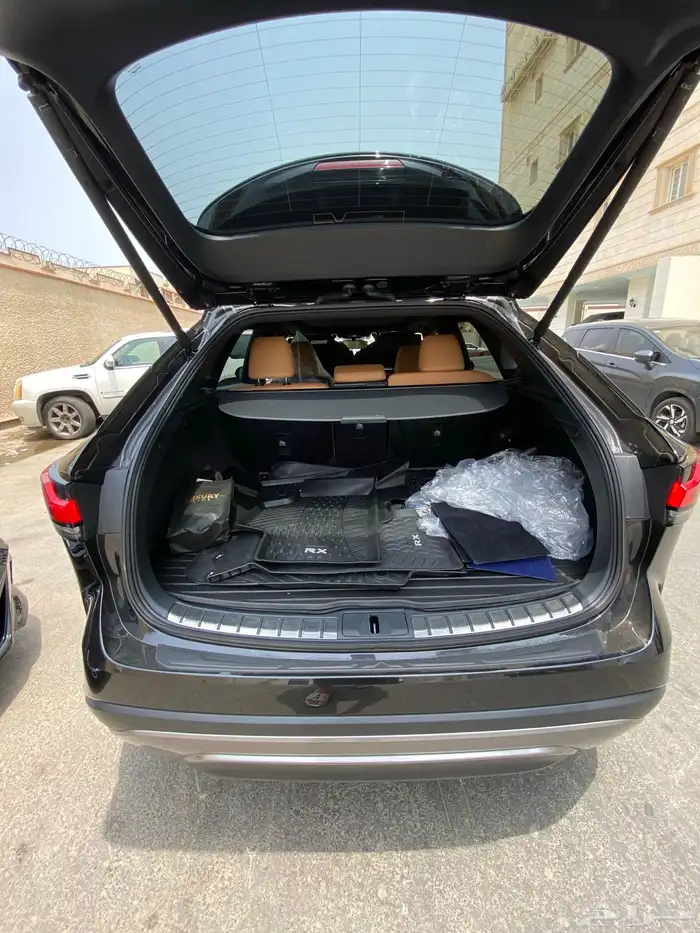 2023 Luxes RX350 Luxury Package 11