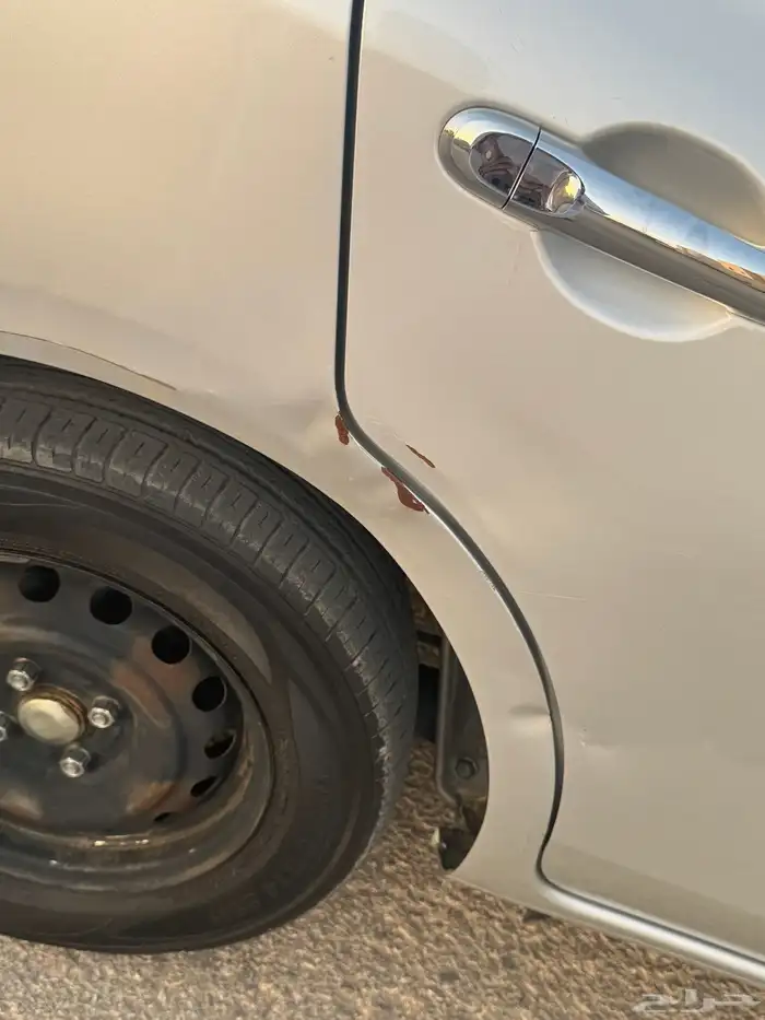 للبيع صني 2019 7