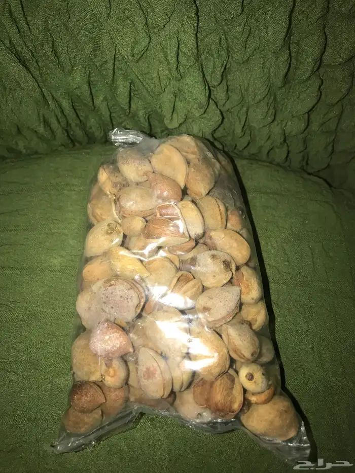لوز بلدي جديد 0