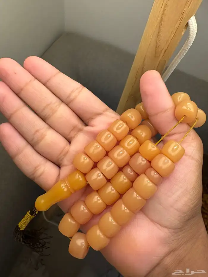 سباح 8