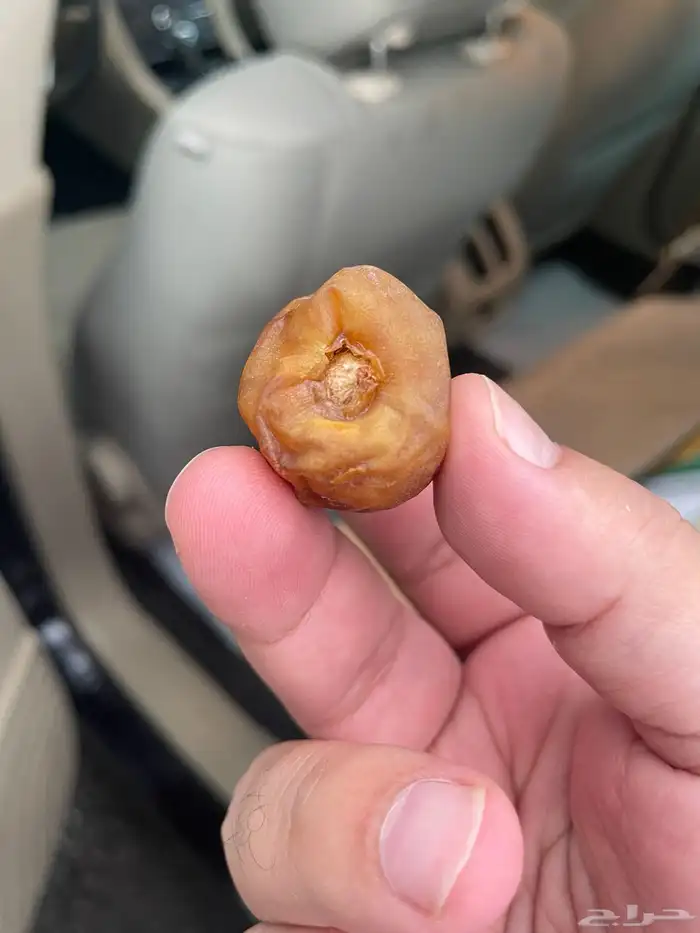 تمر جلكسي ملكي درجه اولى 1