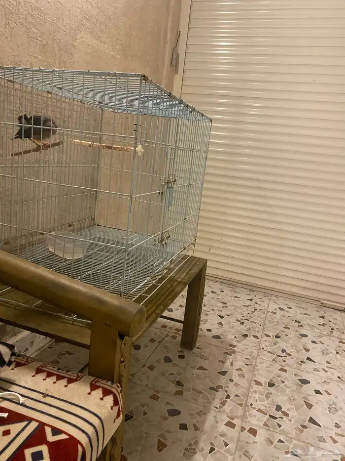 قفص كبير ومينا 1