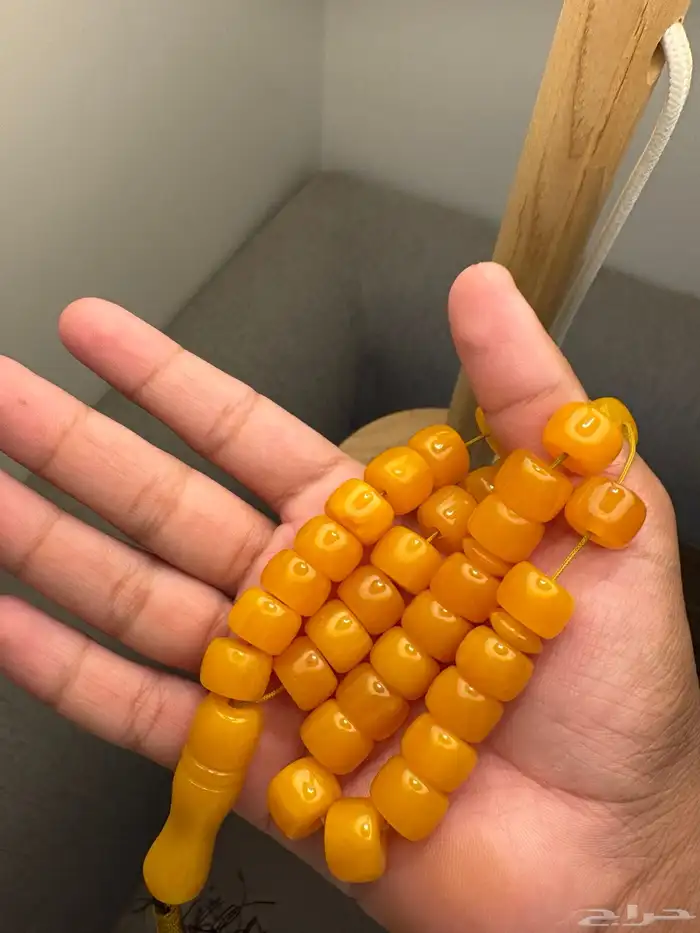 سباح 9
