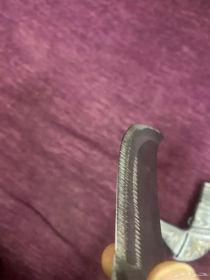 شبريه روسيه حادة السعر 80 2