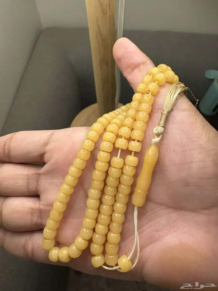 سباح 8