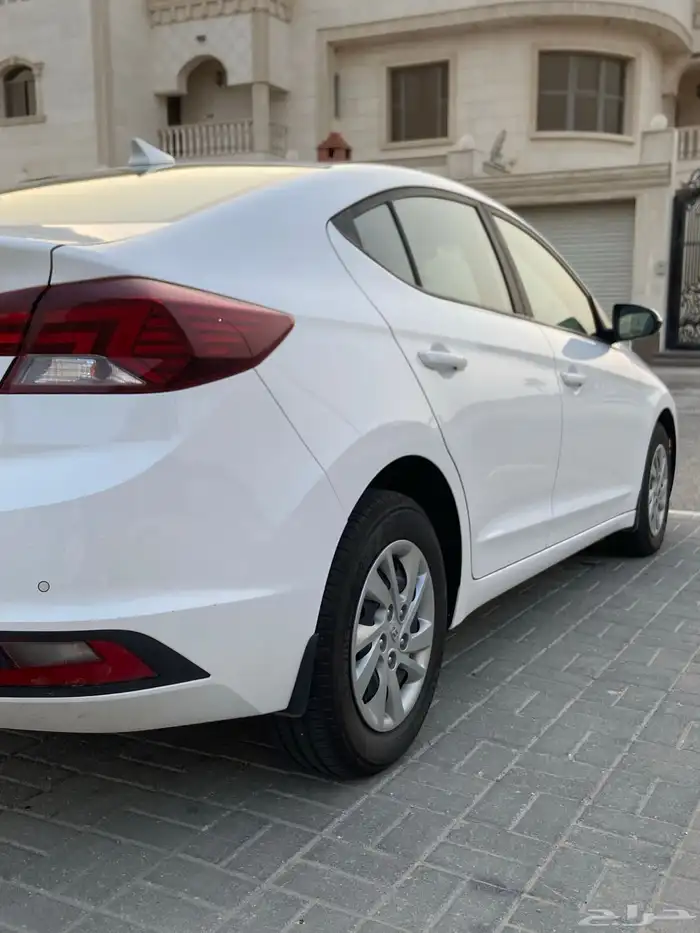 النتر للبيع 2019 1
