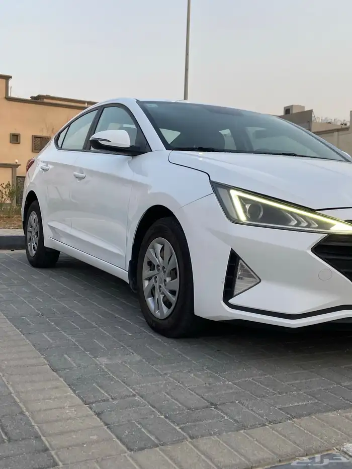 النتر للبيع 2019 3