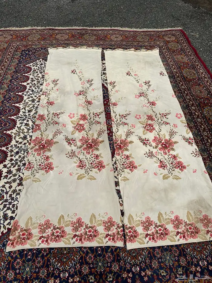 ستارة قديمه 1