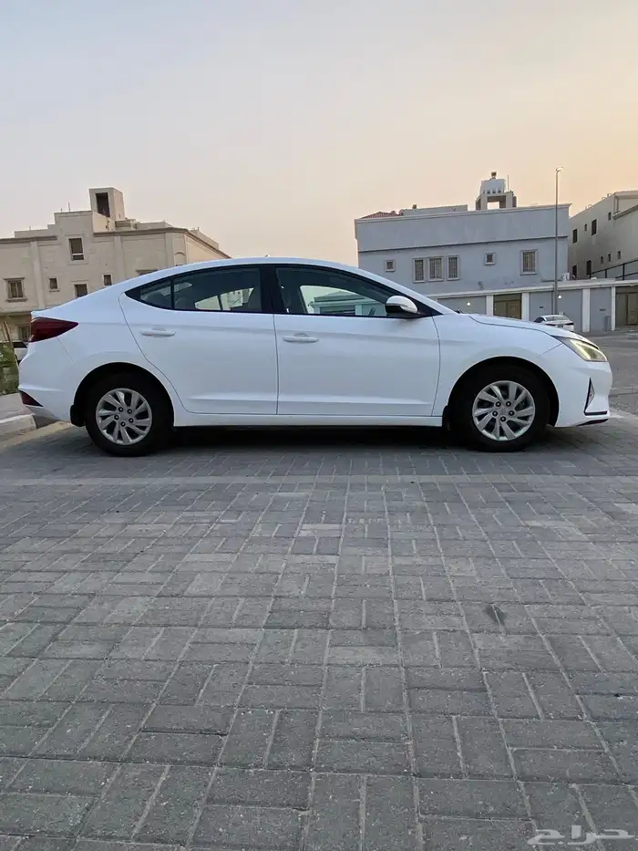 النتر للبيع 2019 4