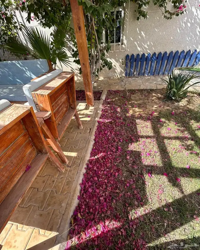 شاليه جاتروفا الرمال 7