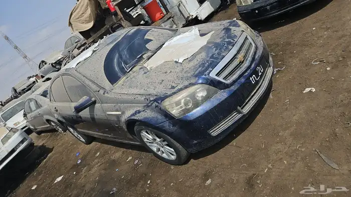 قطع كابرس ولومينا 11
