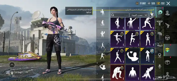 حساب ببجي 13