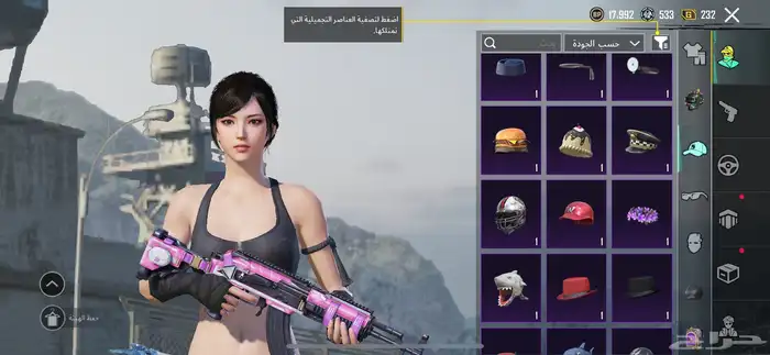 حساب ببجي 30