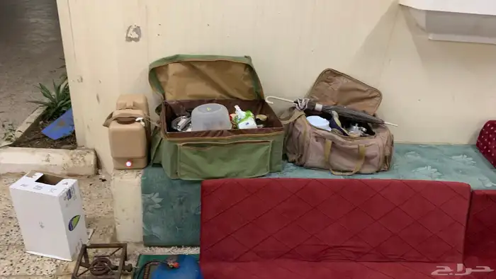 عزبت السنيدي ودلال وبراريد السيف الغالية والجوده العاليه 0