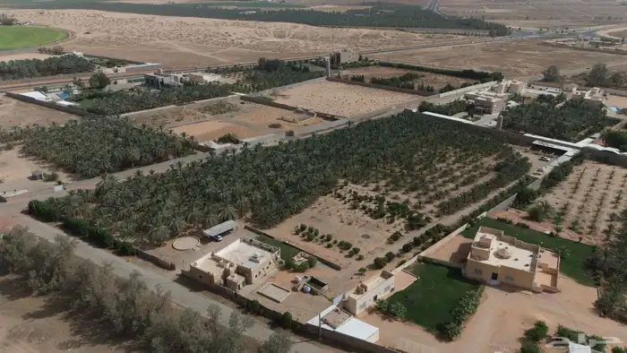 مصور درون 2