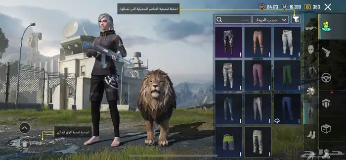 تم البيع 14