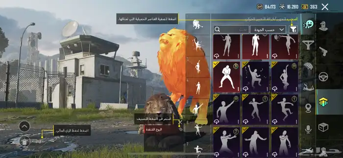تم البيع 19