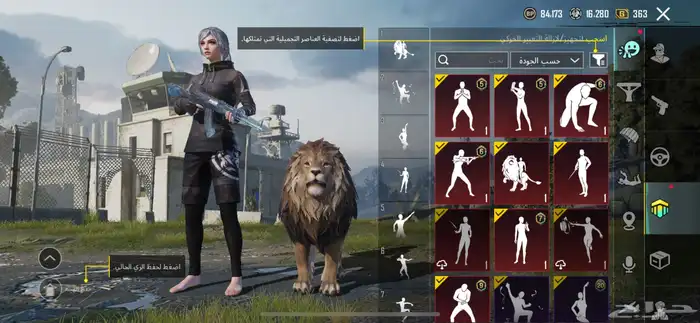 تم البيع 13